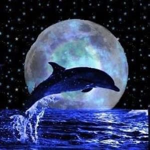 Meet your Posher, Elisa